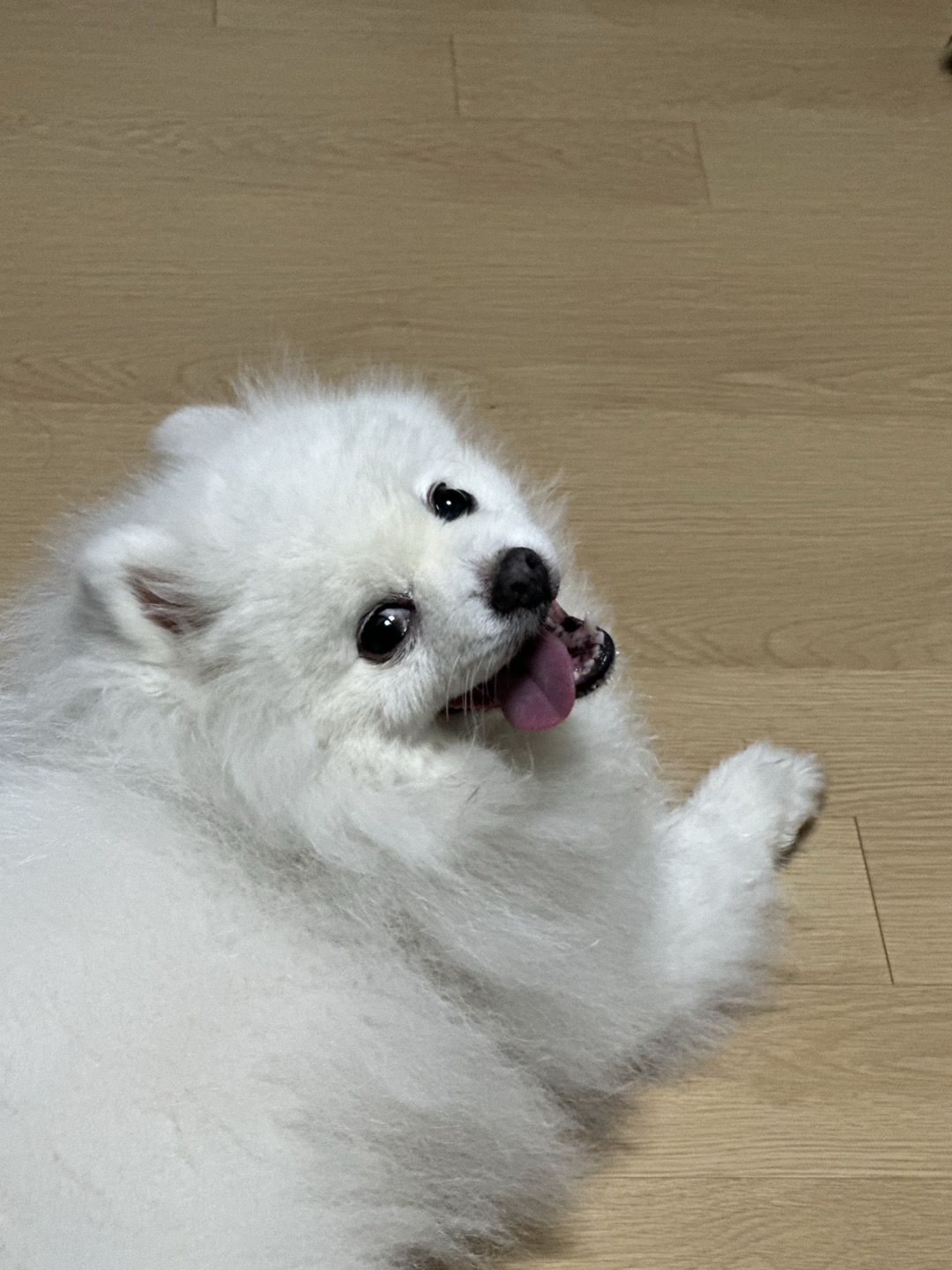 닉네임테스트닉네임테스트닉네임